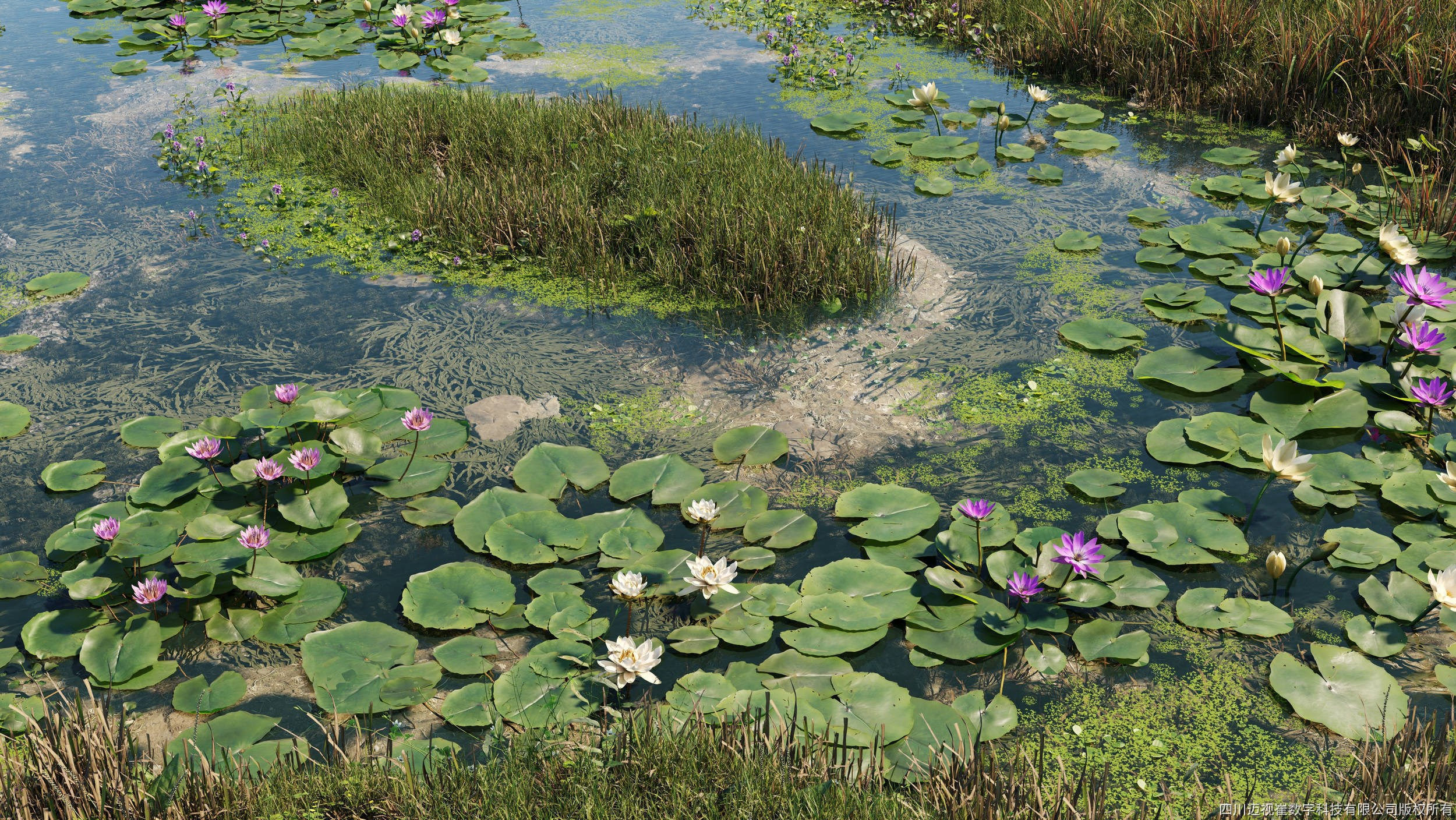 Maxtree Plant Models Vol 39 - Mesh 3D model_1