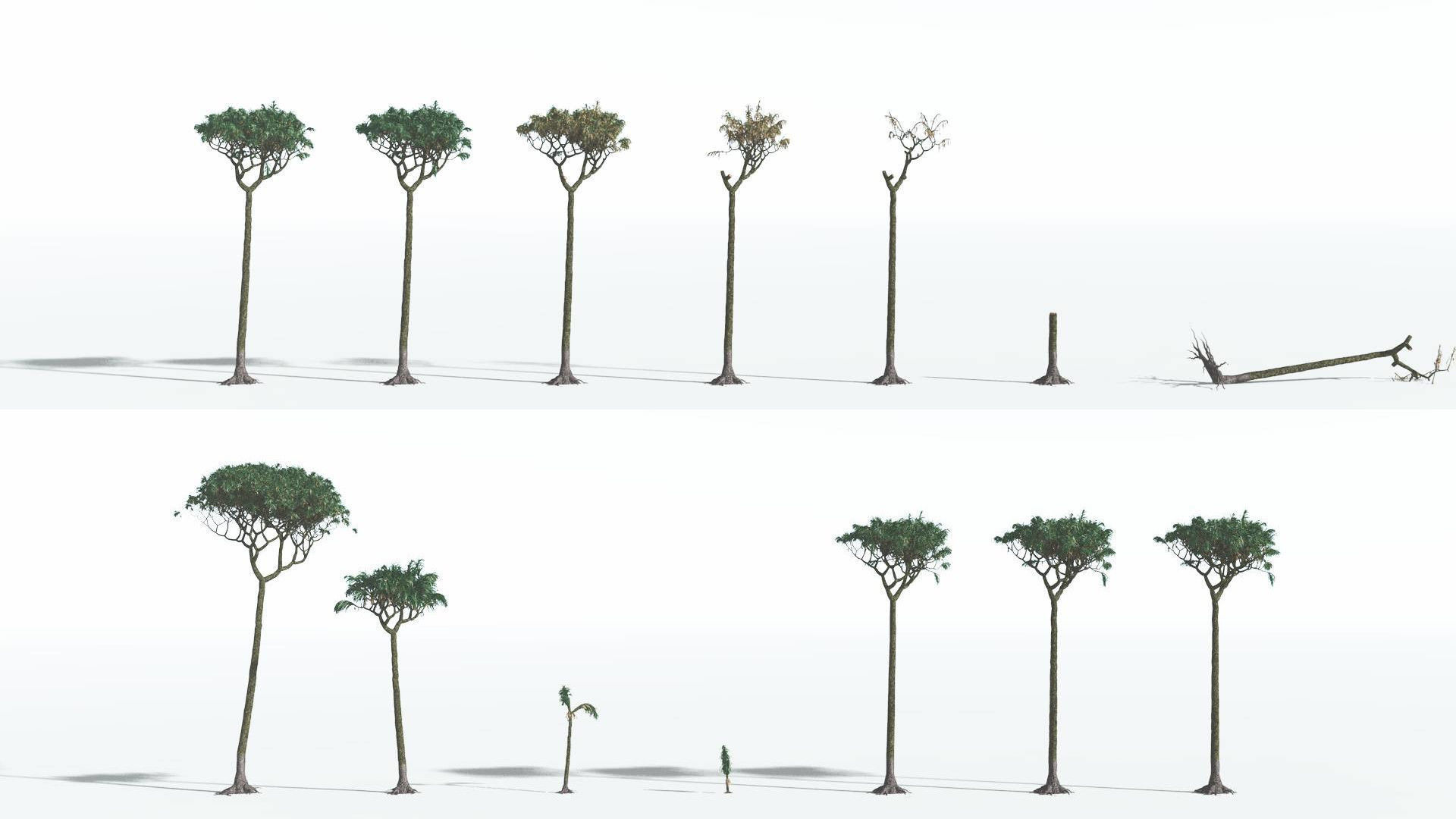 EVERYPlant Lepidodendron Scale Tree 3 14 Models 3D model CGTrader