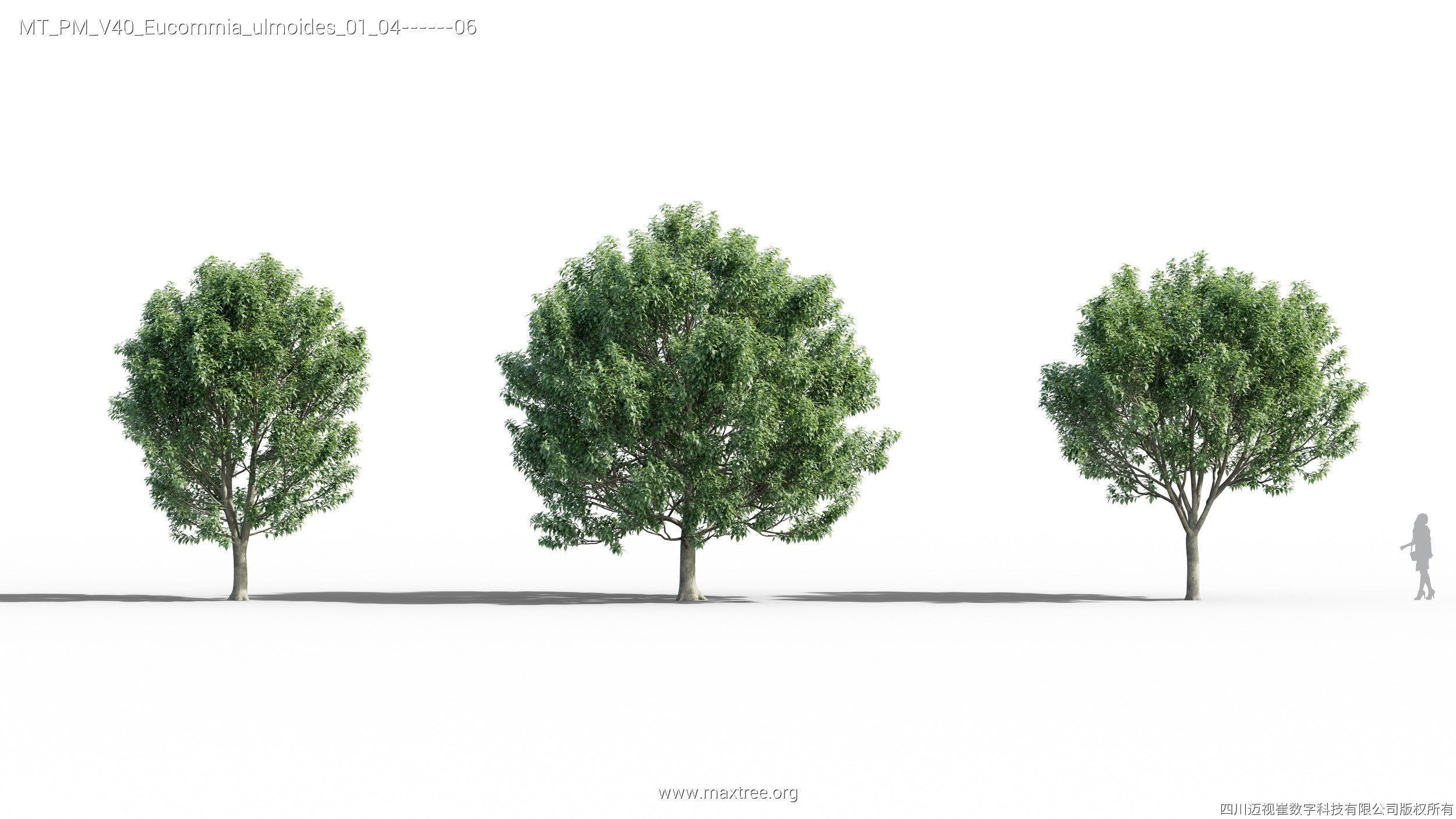 Maxtree Plant Models Vol 40 - Mesh 3D model_15