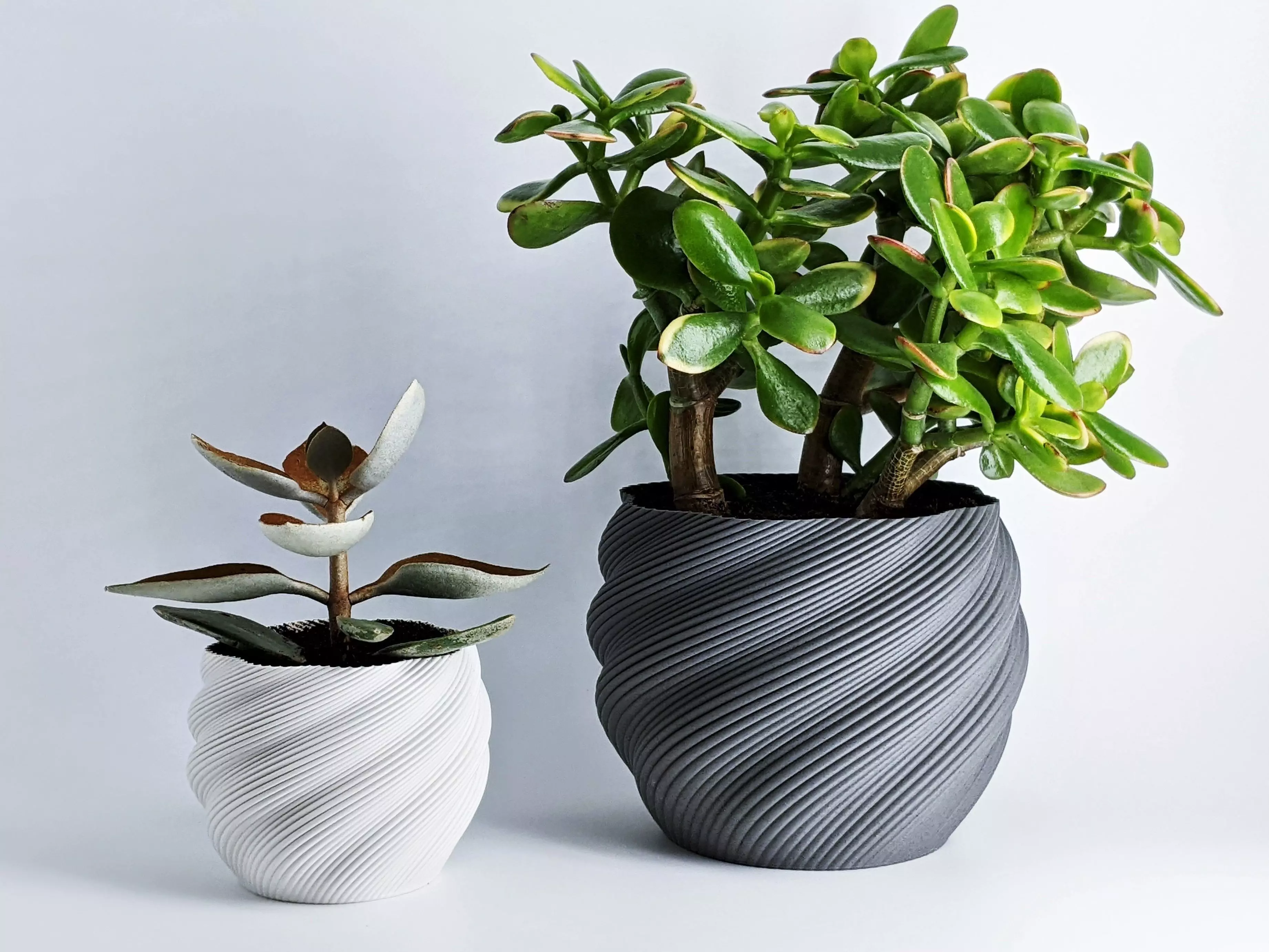 Modern PLANT POT Diluvian for succult planters to big pots 3D print model