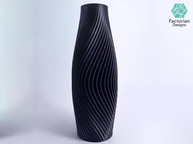 Elegant VASE Version Volute