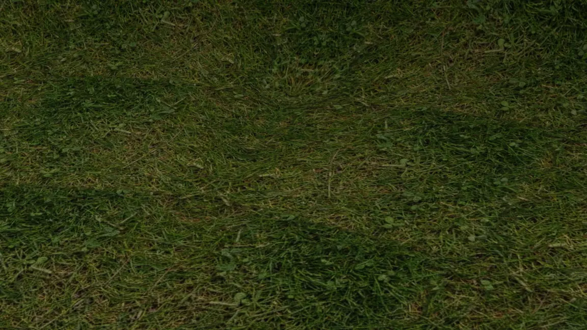grass texture Texture_0
