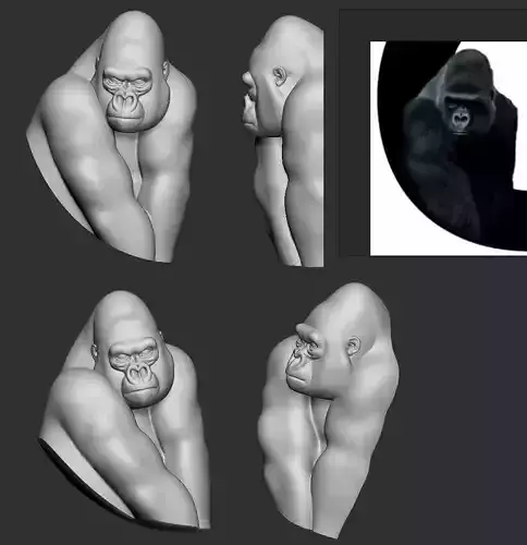 Gorilla three gorillas