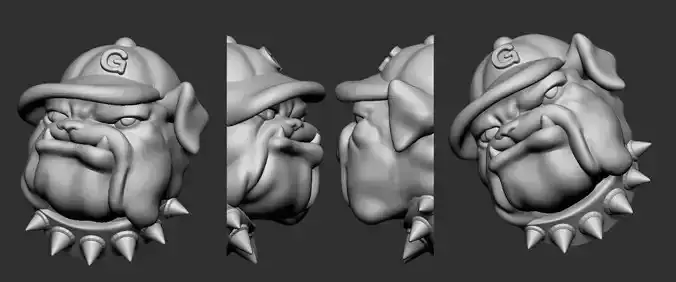 American Pit Bull dog face 