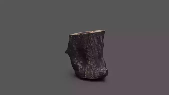 Low-poly Log tree trunk in shape of vase
