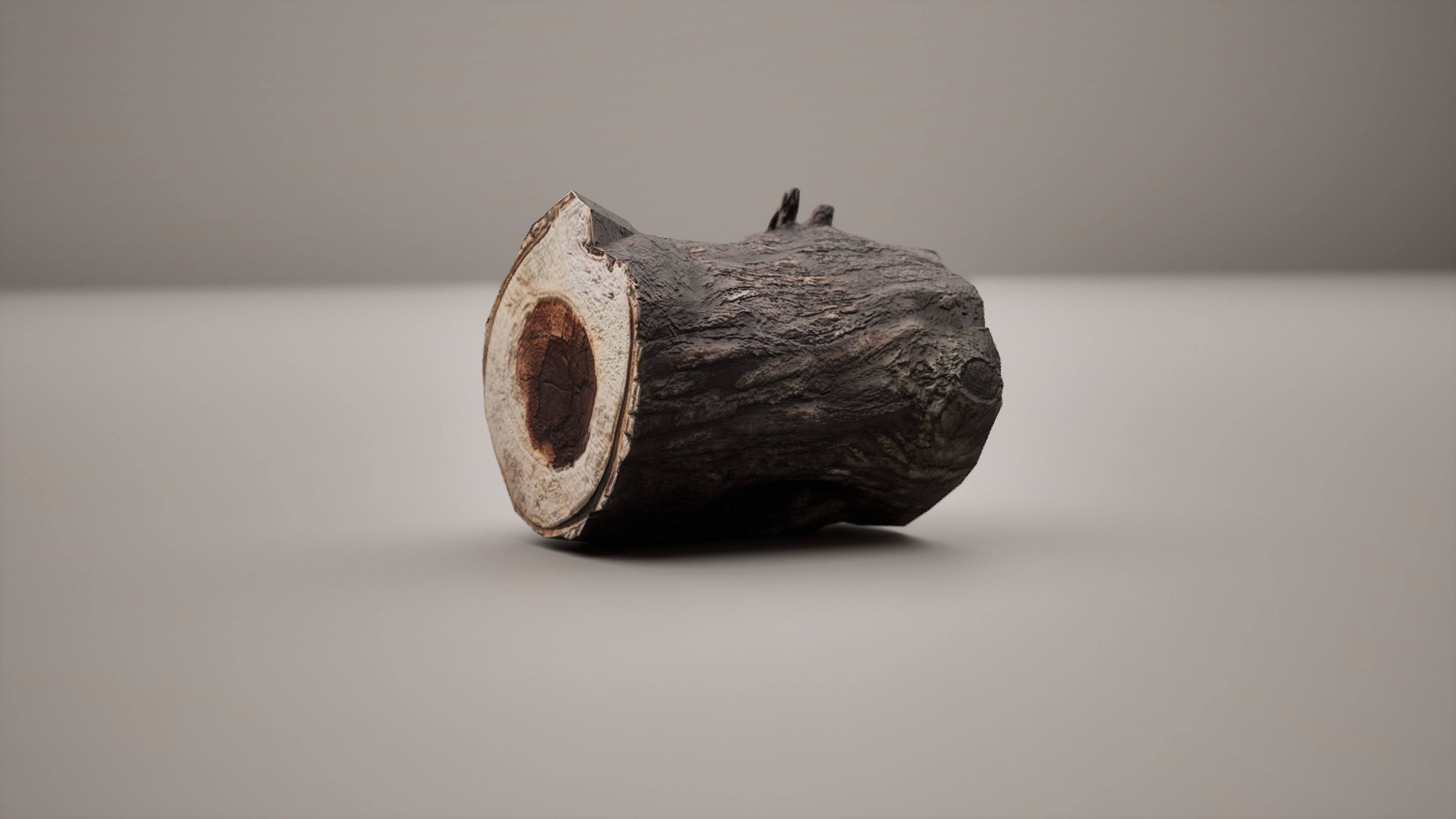 Low-poly Log tree trunk in shape of vase Low-poly 3D model_6