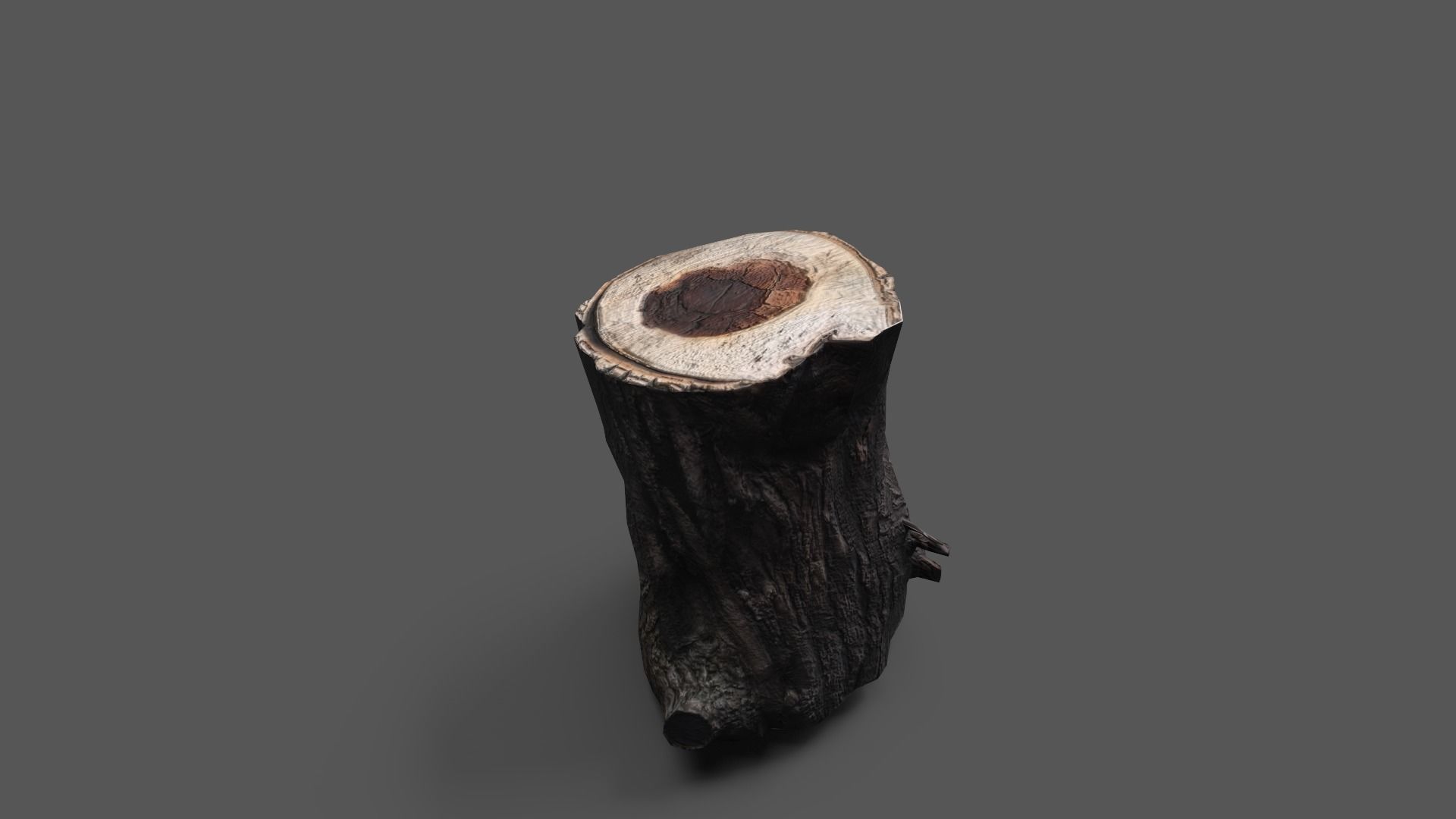 Low-poly Log tree trunk in shape of vase Low-poly 3D model_1