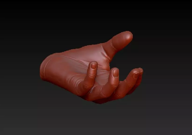Grab Hand 3D print model_0