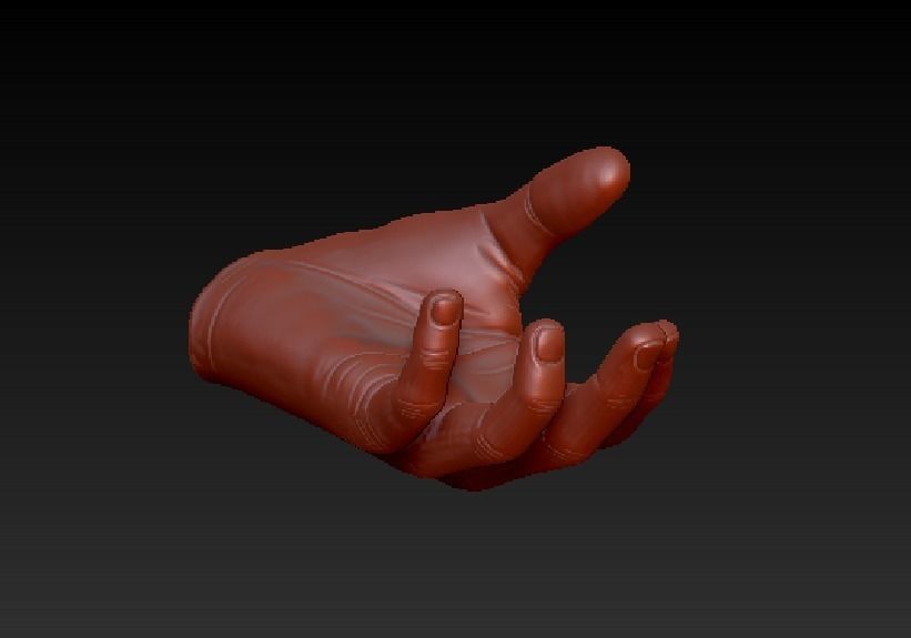 Grab Hand 3D print model_2