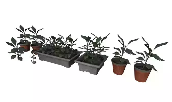 Plant Pots Pack