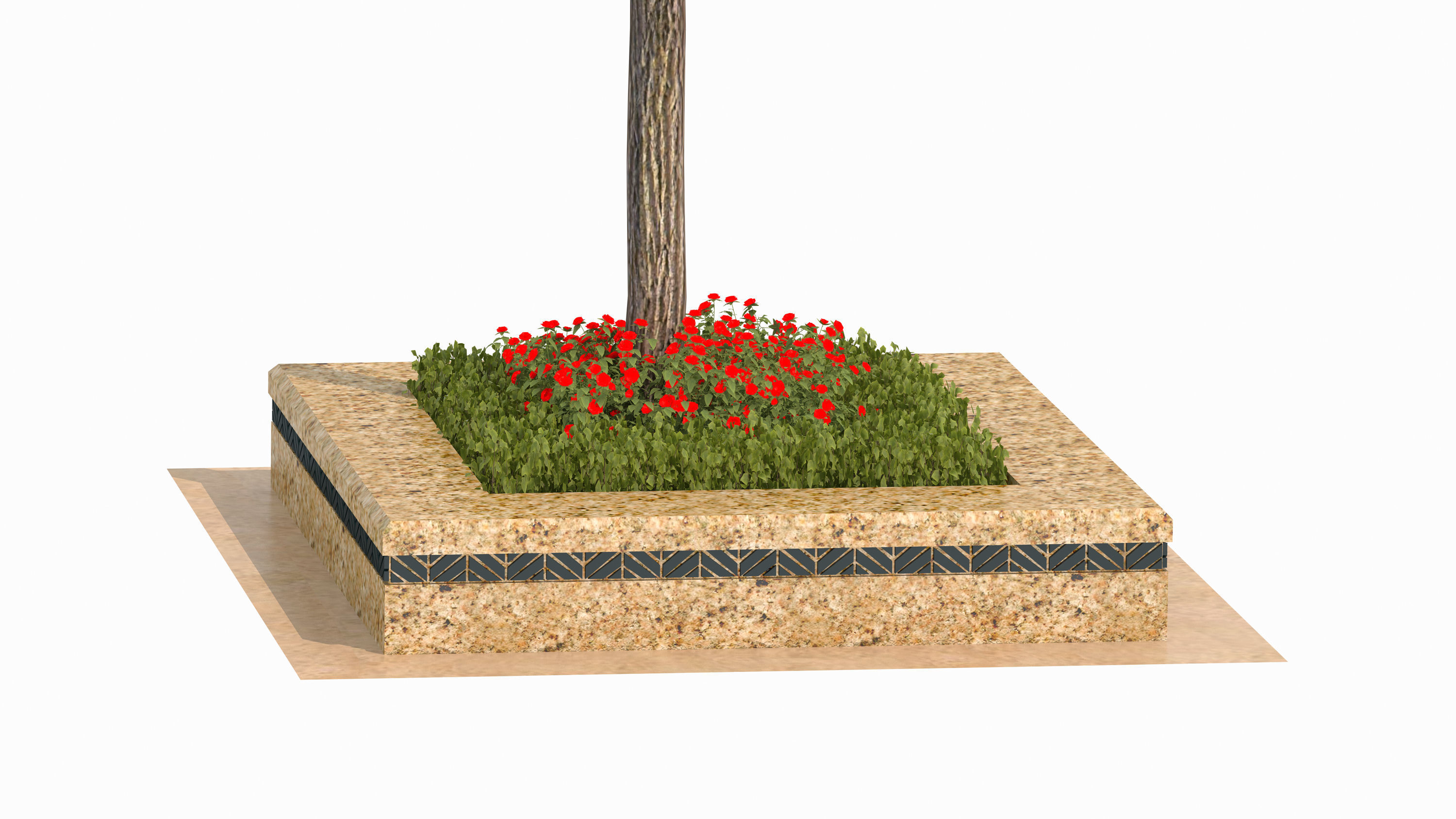Ginkgo biloba L 3D model_6