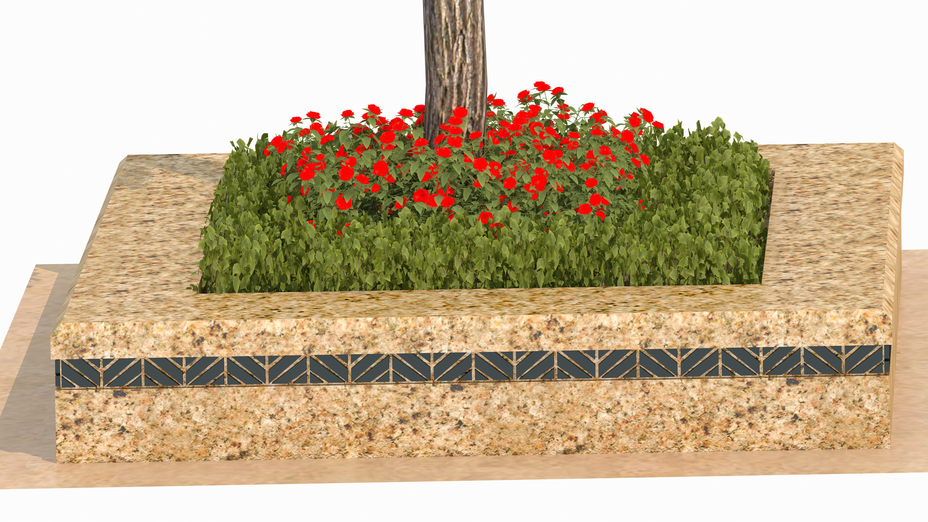 Ginkgo biloba L 3D model_3