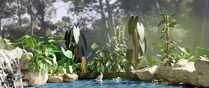 PHILODENDRON TROPICAL PLANTS COLLECTION PART 1