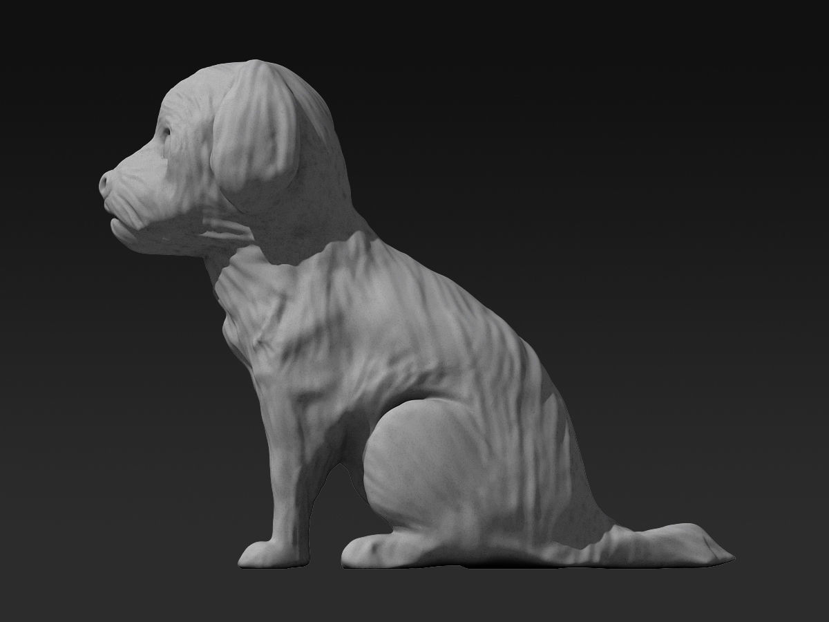 Cute Maltese 3D print model_5