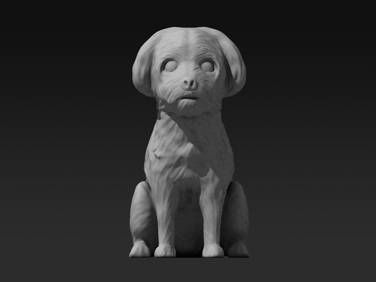 Cute Maltese 3D print model_3