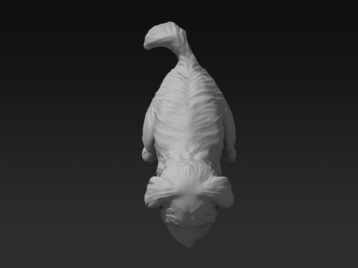Cute Maltese 3D print model_7