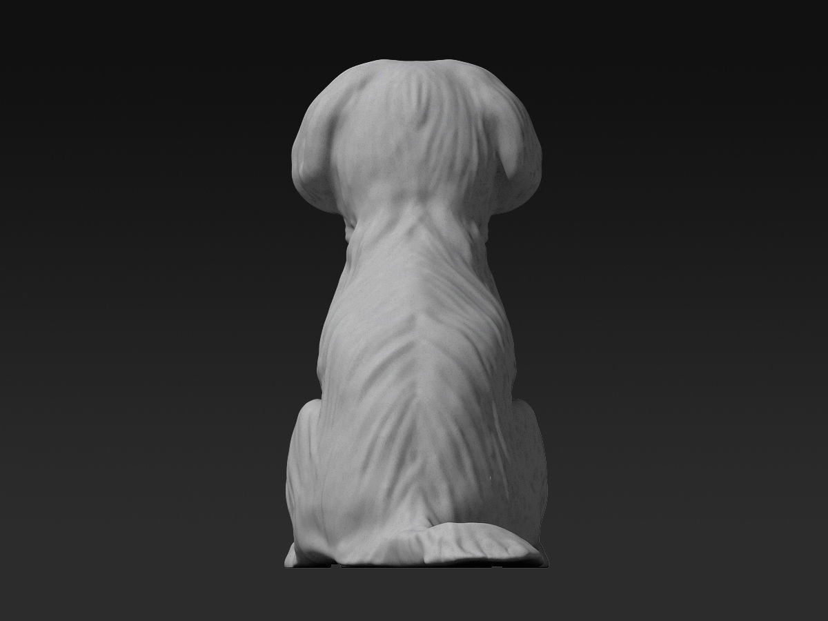 Cute Maltese 3D print model_6