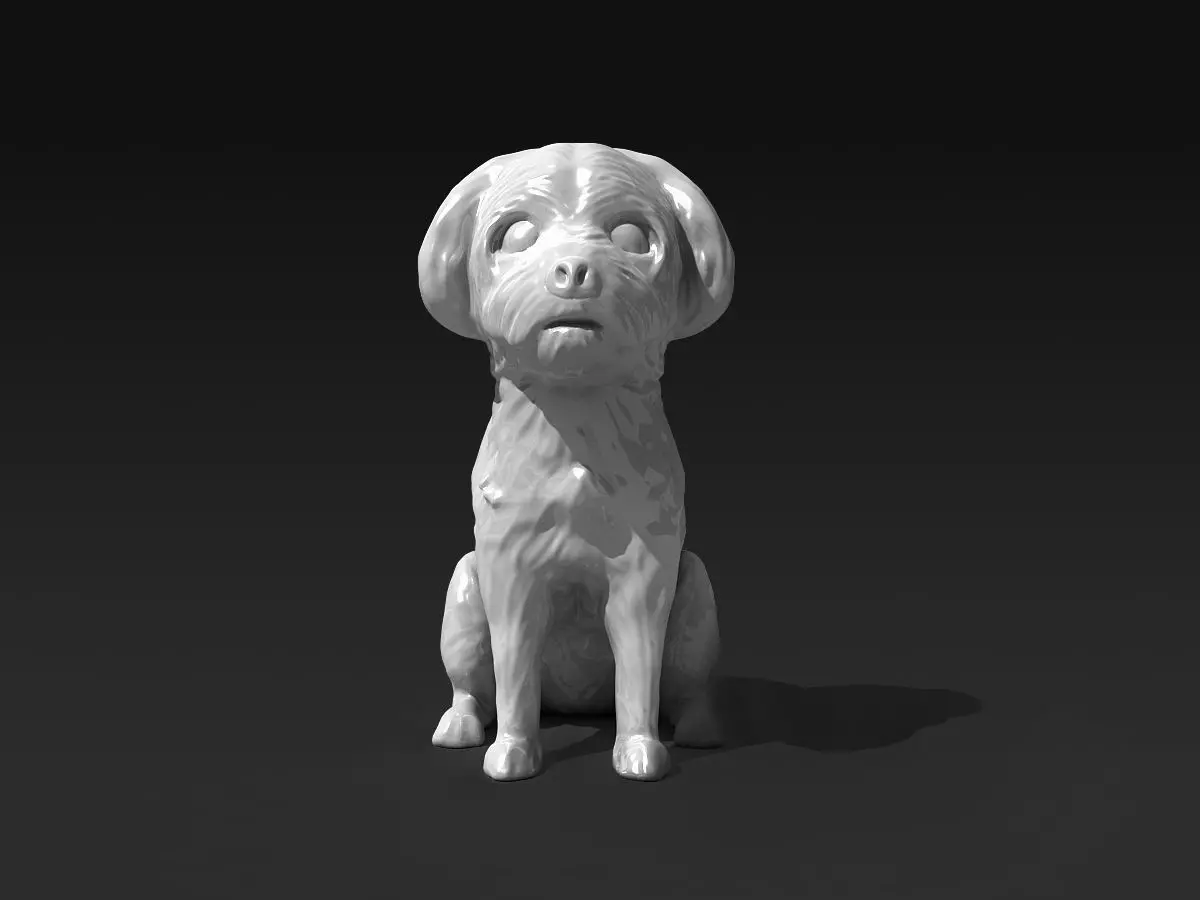 Cute Maltese 3D print model_0