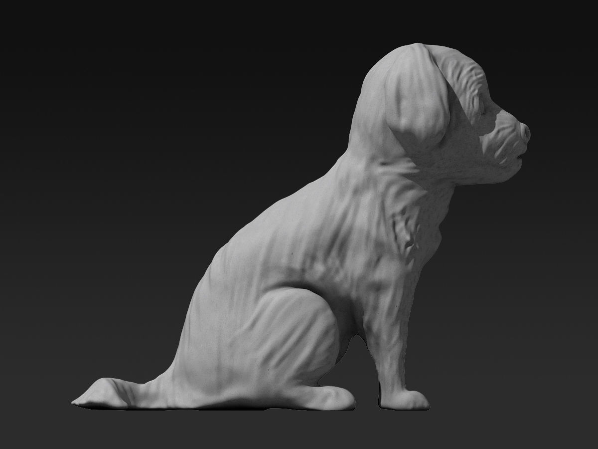 Cute Maltese 3D print model_4