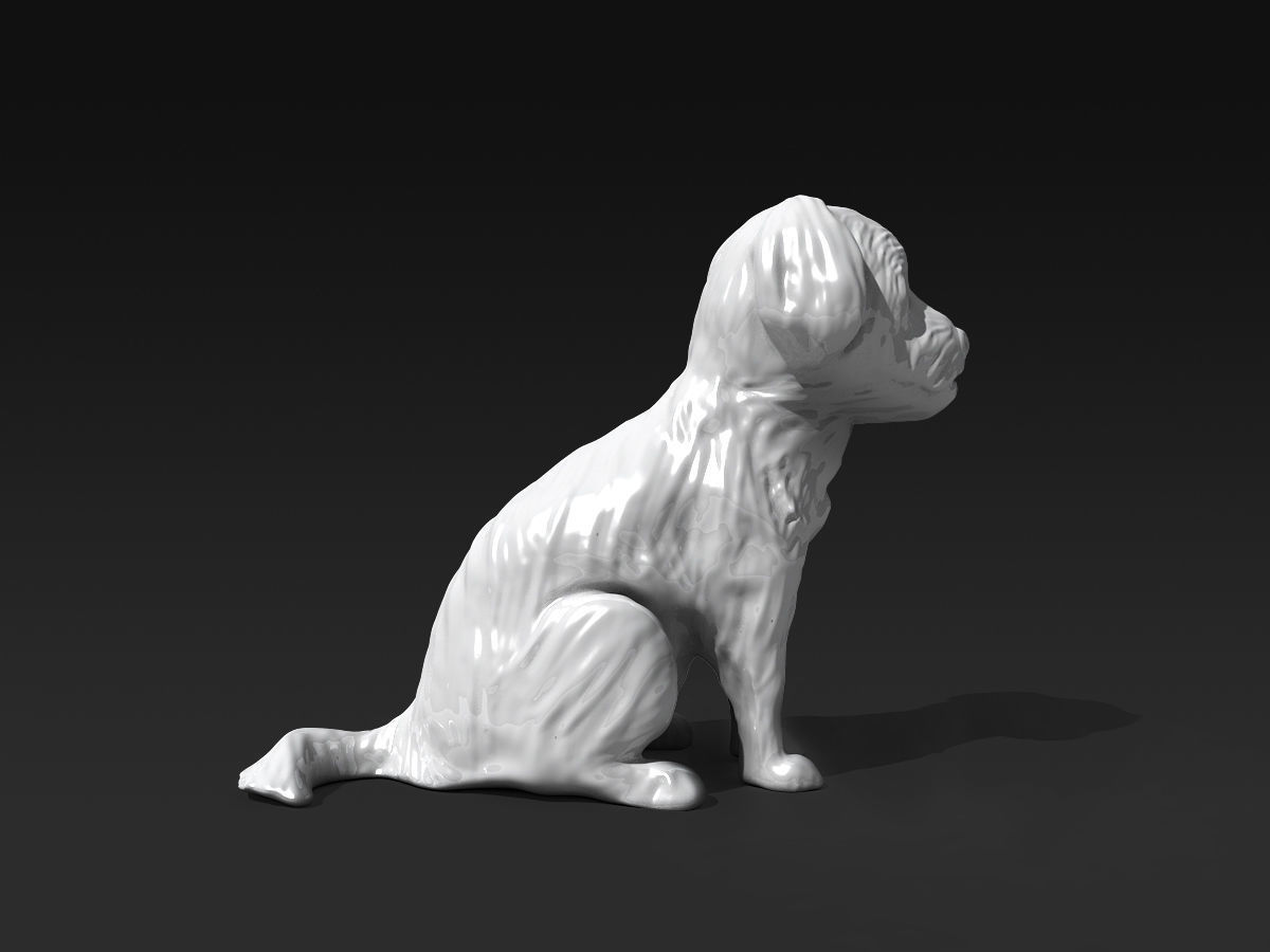 Cute Maltese 3D print model_1