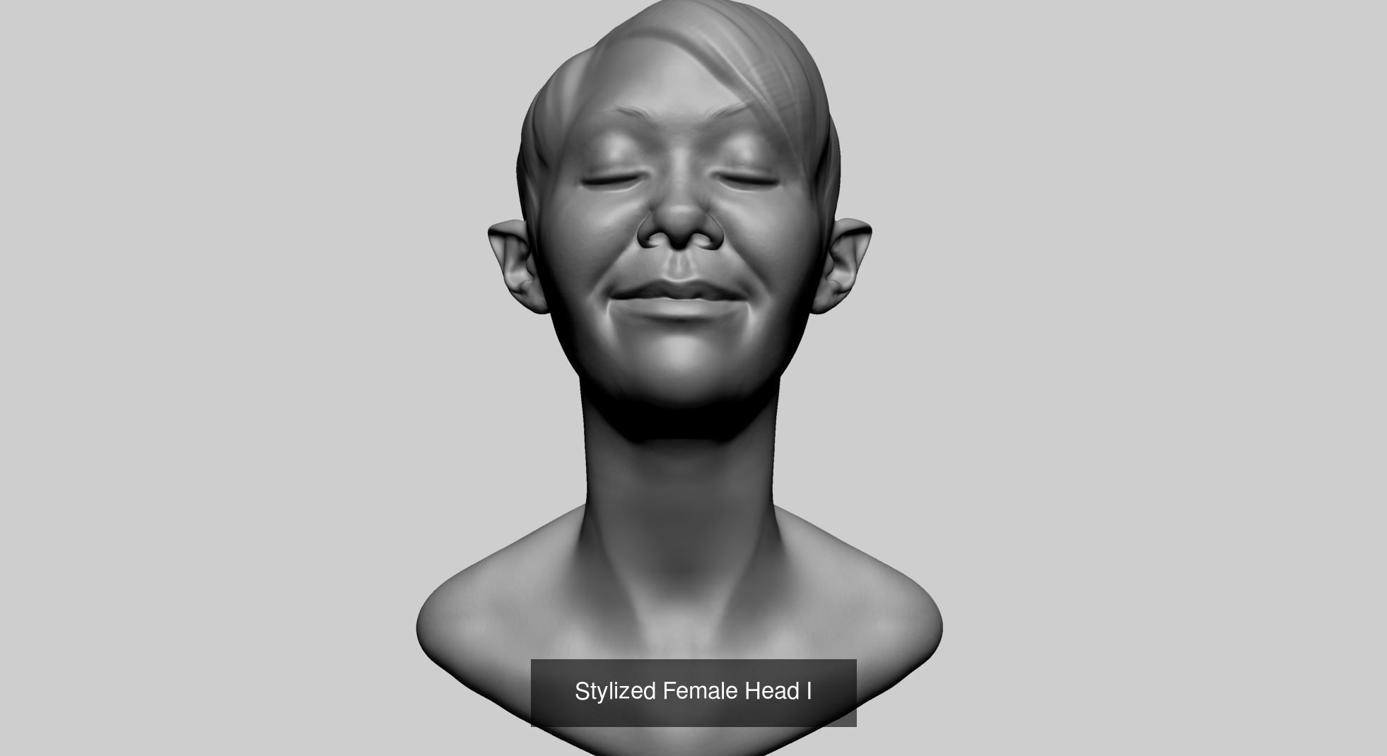 25 Female Head Models 3D Model Collection_21