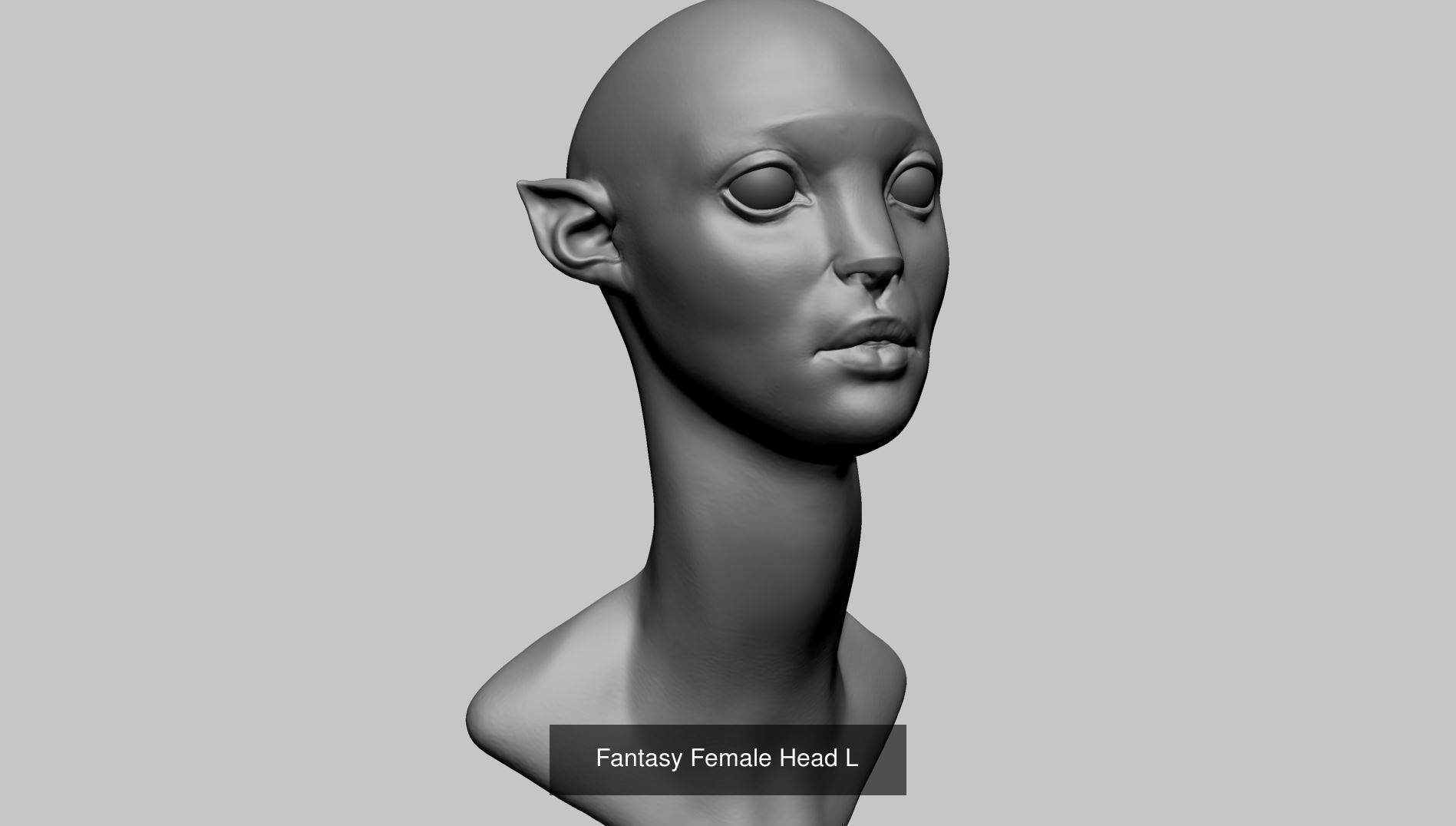 25 Female Head Models 3D Model Collection_10