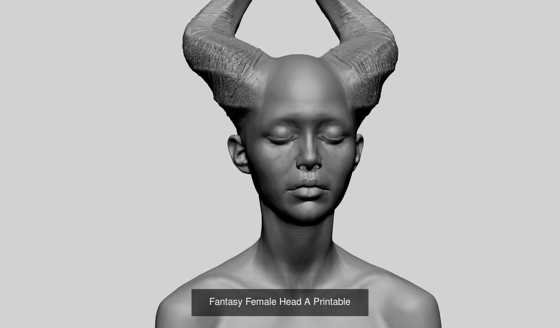 25 Female Head Models 3D Model Collection_4