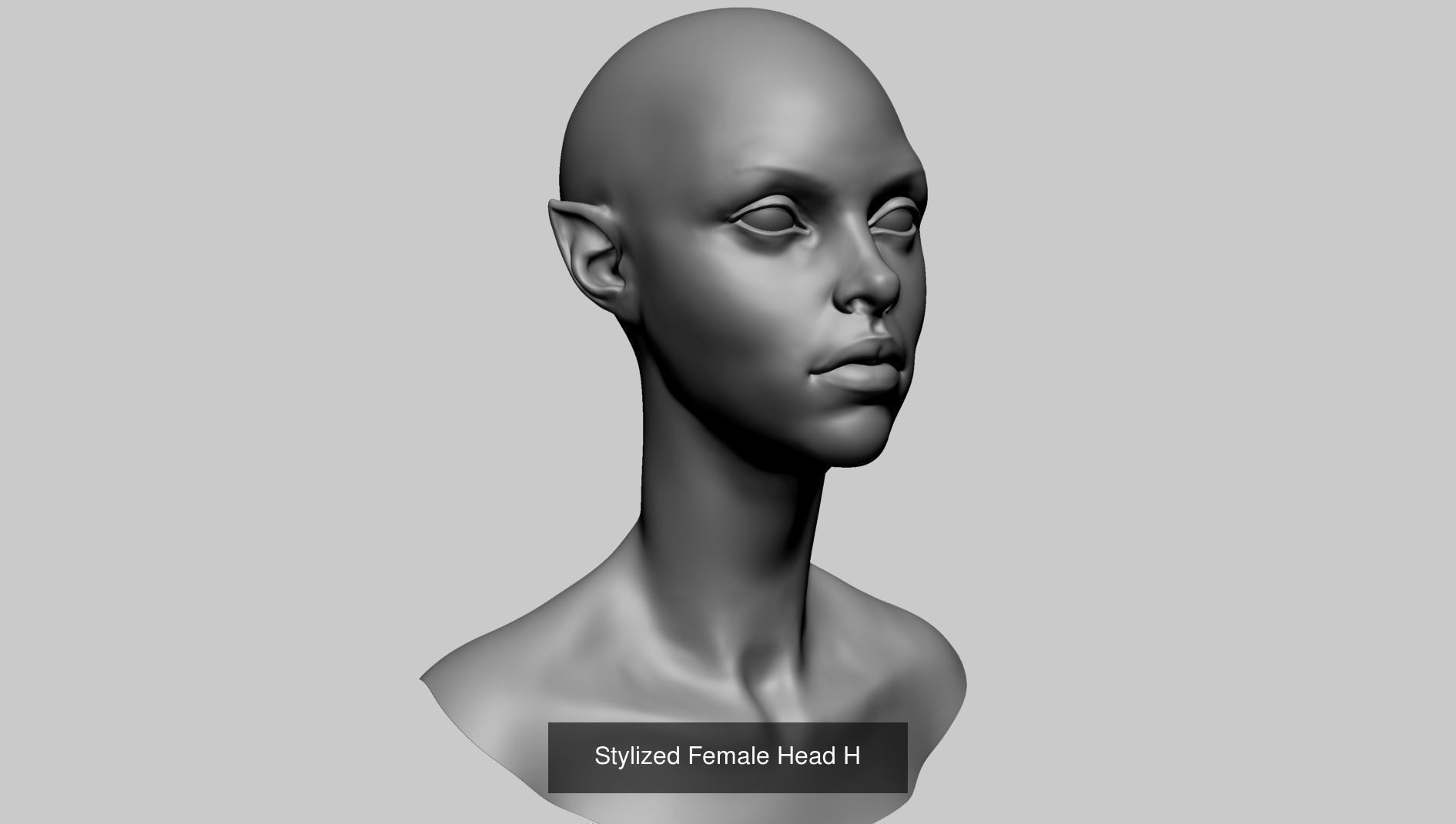 25 Female Head Models 3D Model Collection_17