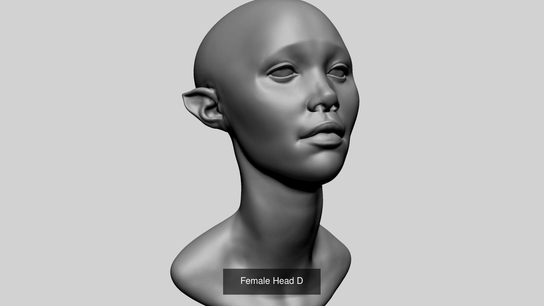 25 Female Head Models 3D Model Collection_25