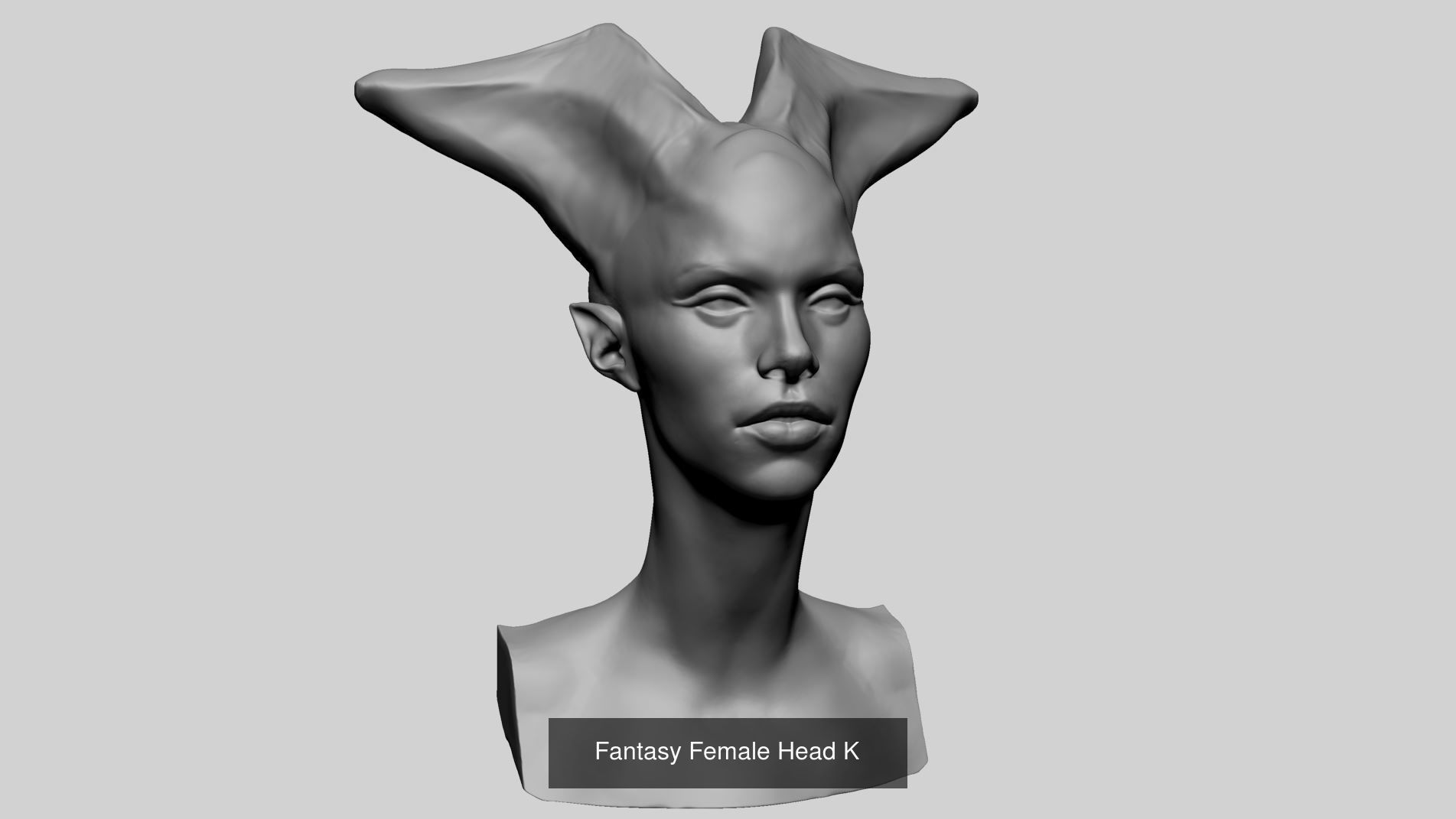 25 Female Head Models 3D Model Collection_6