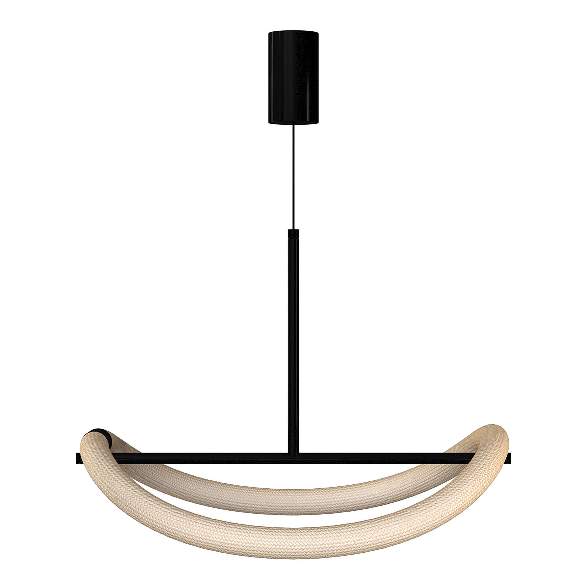 Levity Pendant Light 3D model_1