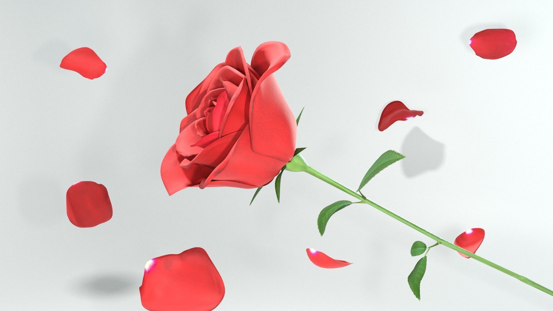 Red Rose 3D model_2