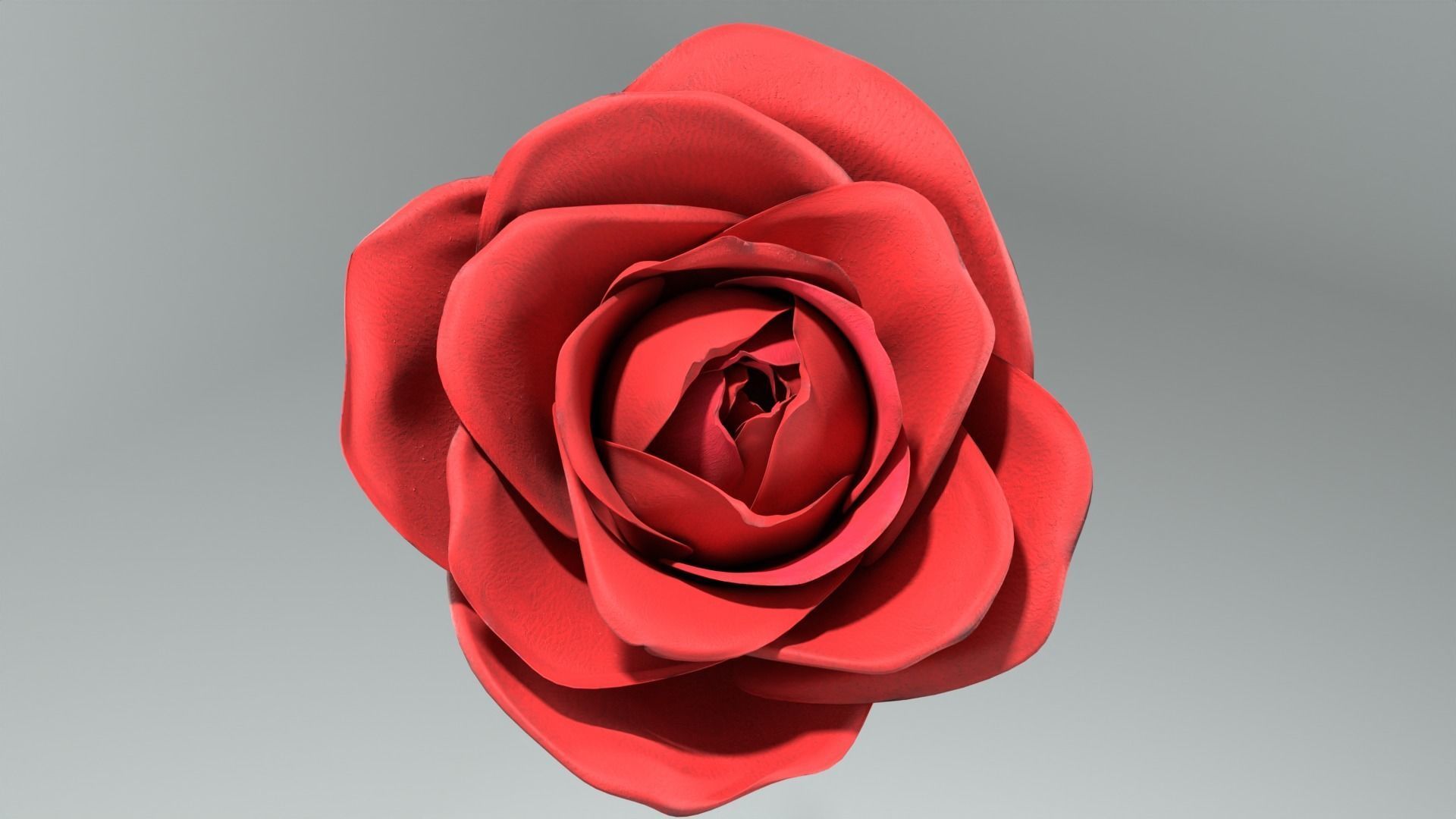 Red Rose 3D model_4