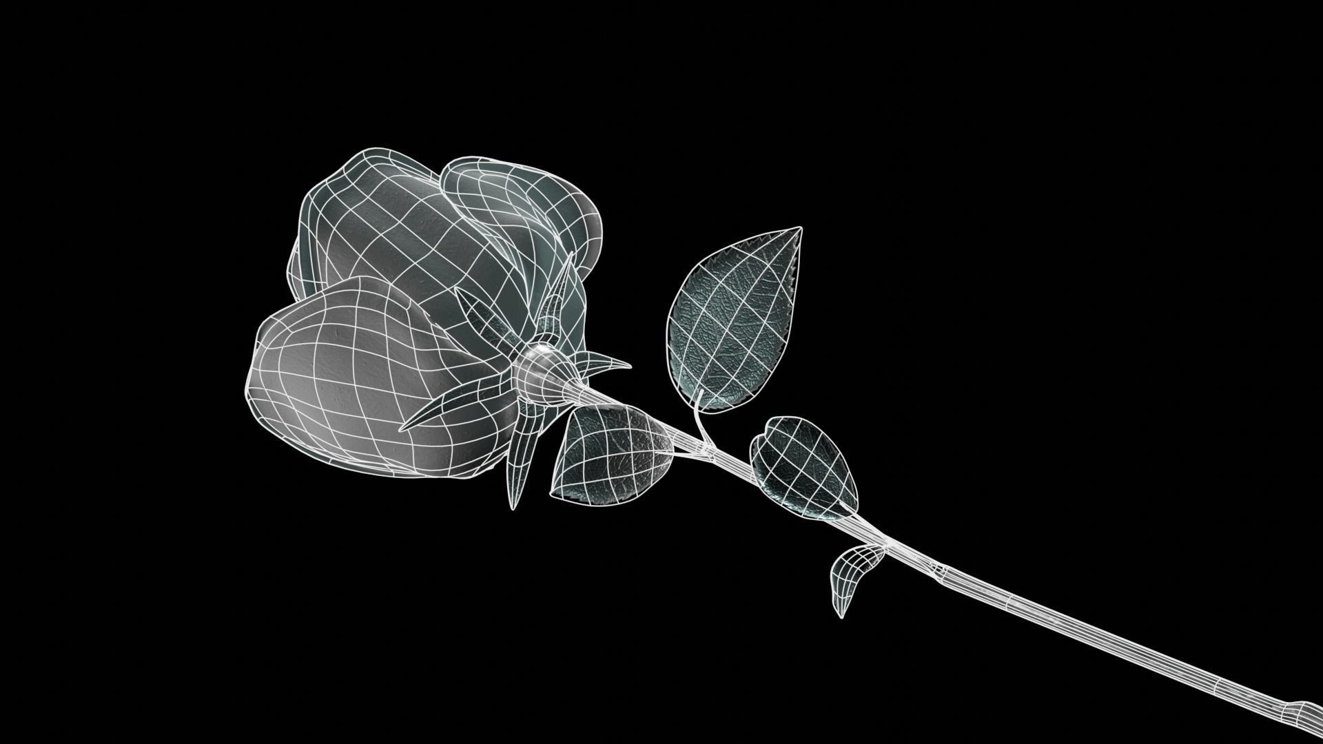 Red Rose 3D model_10