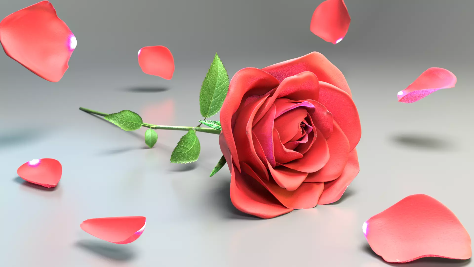 Red Rose 3D model_0