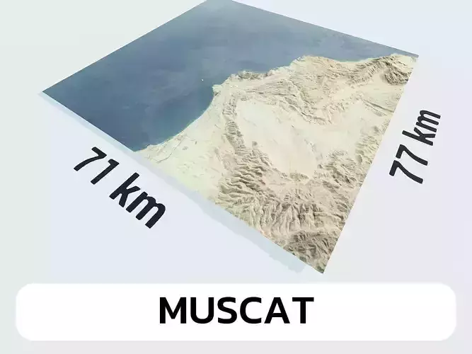 Muscat Oman City Landscape 3D Model 3D model