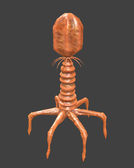 Bacteriophage Virus 3D model_1