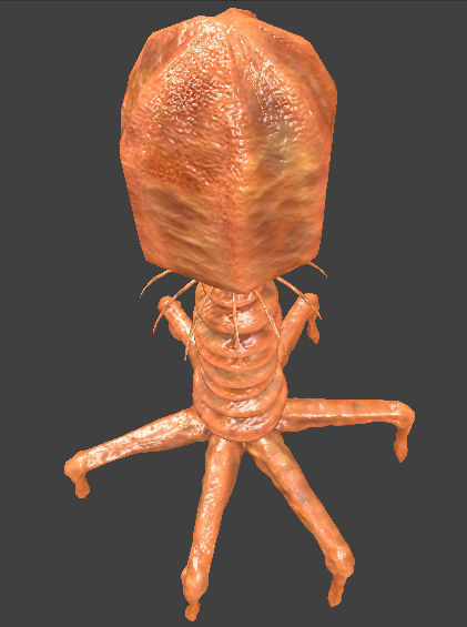 Bacteriophage Virus 3D model_2