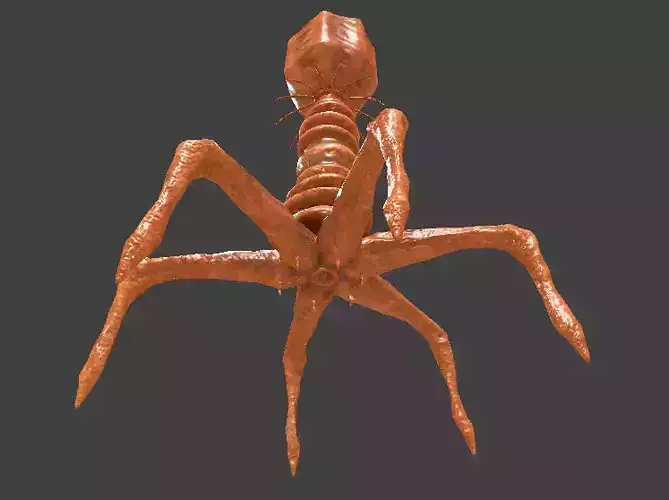 Bacteriophage Virus 3D model