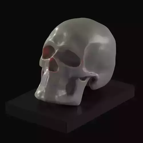 SKull sculpture 3D model