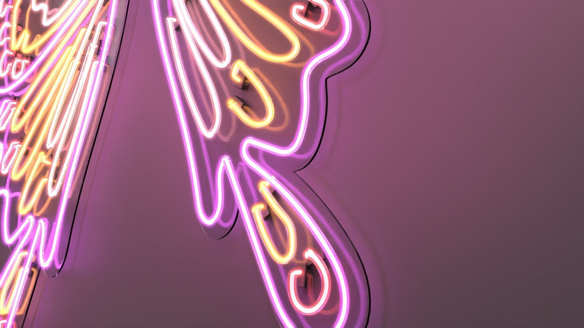 Butterfly Wings 2 - Neon Sign 3D model_3