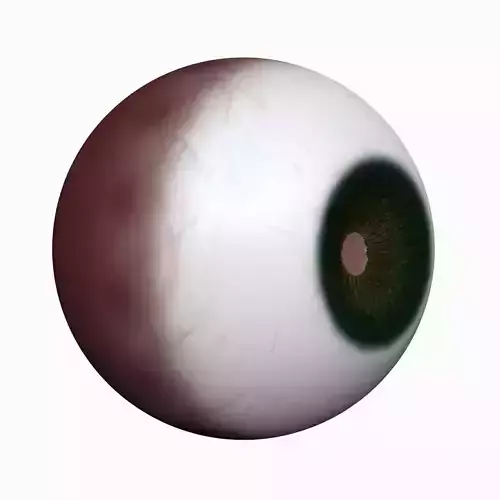 Realistic Human Eyeball Model