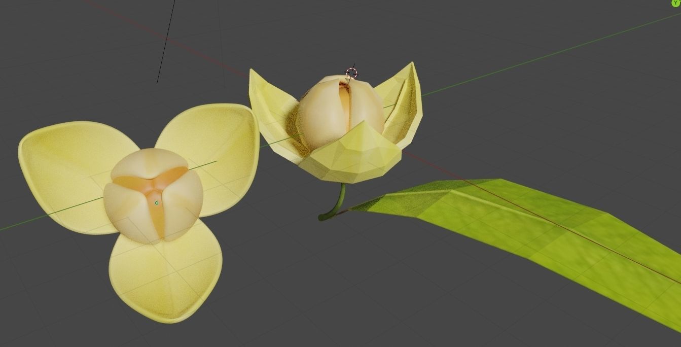 Lumdoun flower Free low-poly 3D model_1