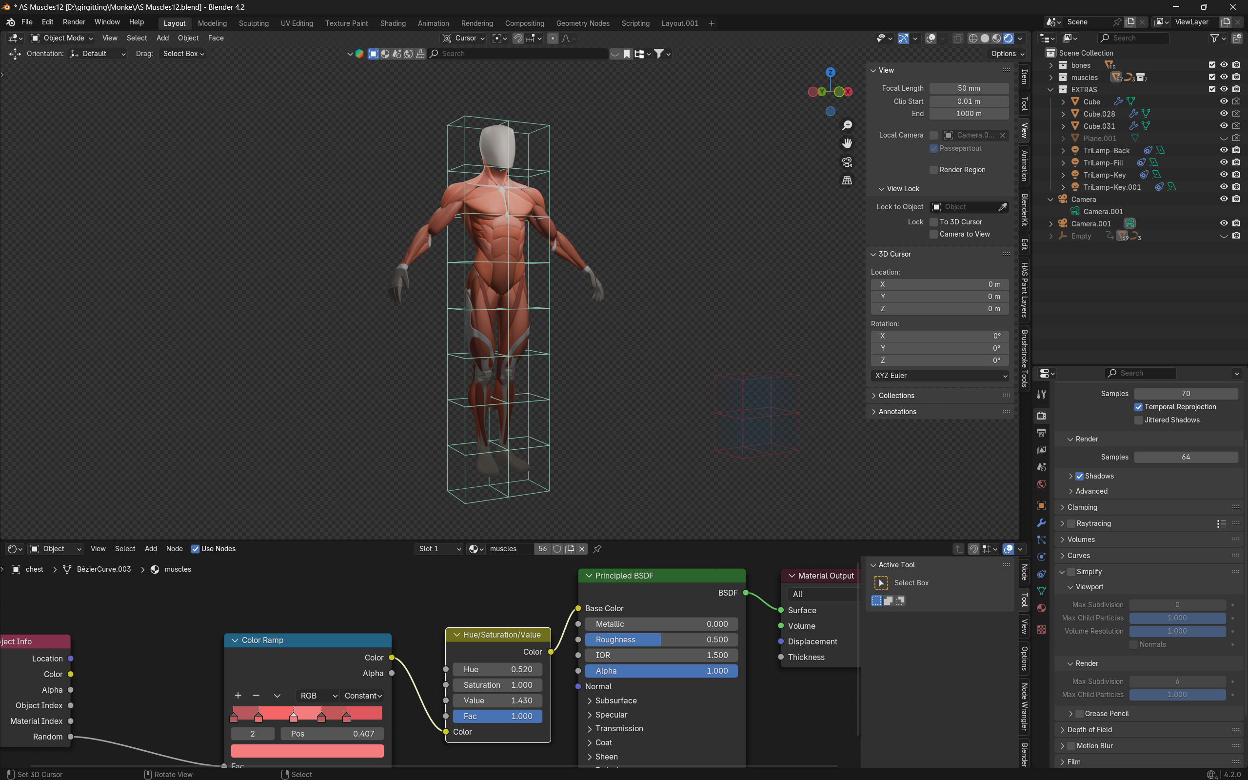 Stylized Male Muscle Anatomy Reference Model 3D model_8