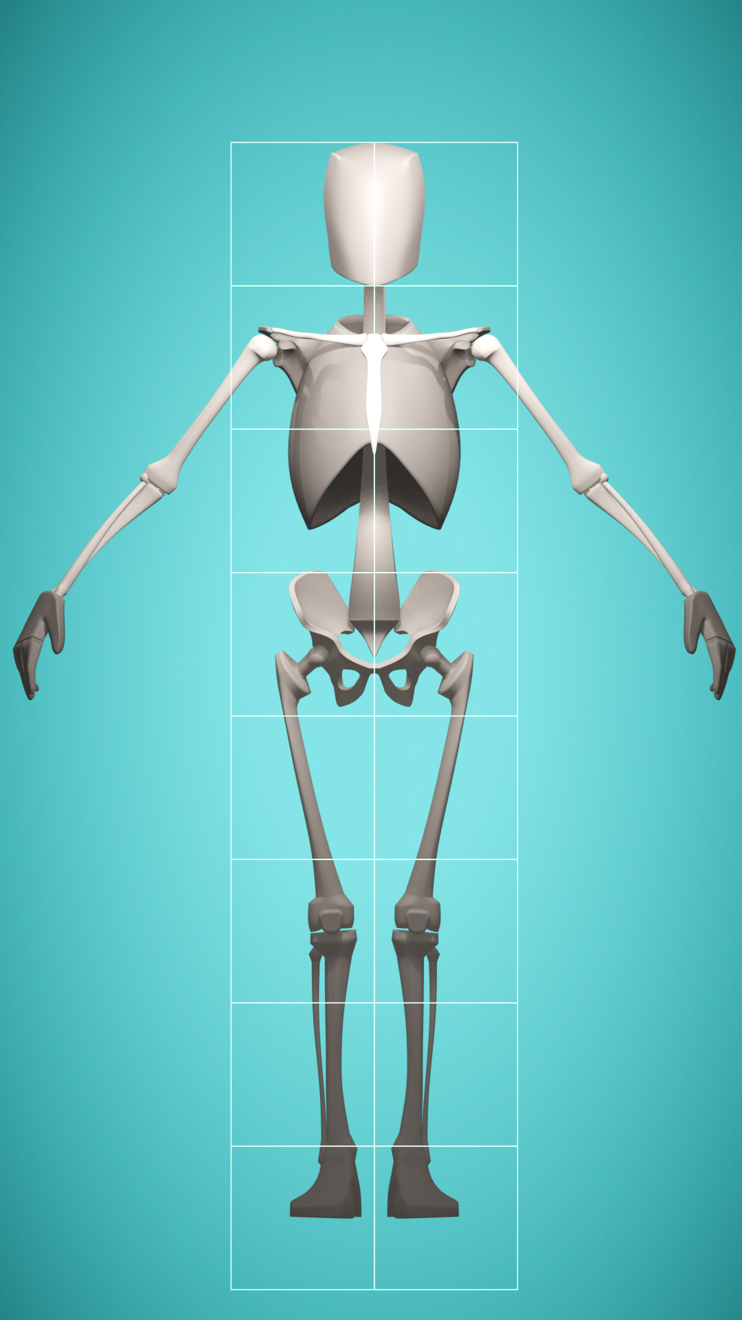 Stylized Male Muscle Anatomy Reference Model 3D model_4