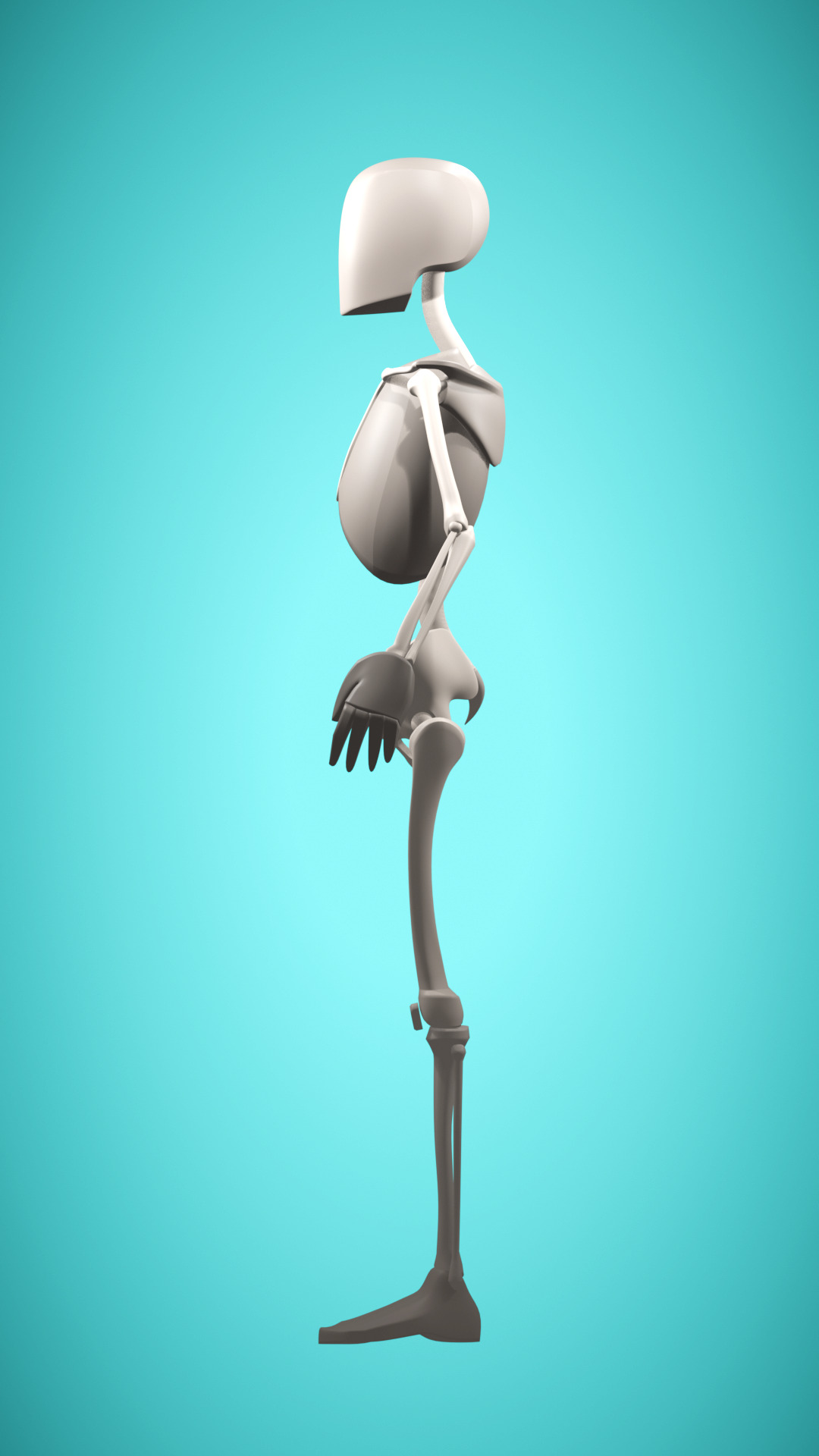 Stylized Male Muscle Anatomy Reference Model 3D model_5