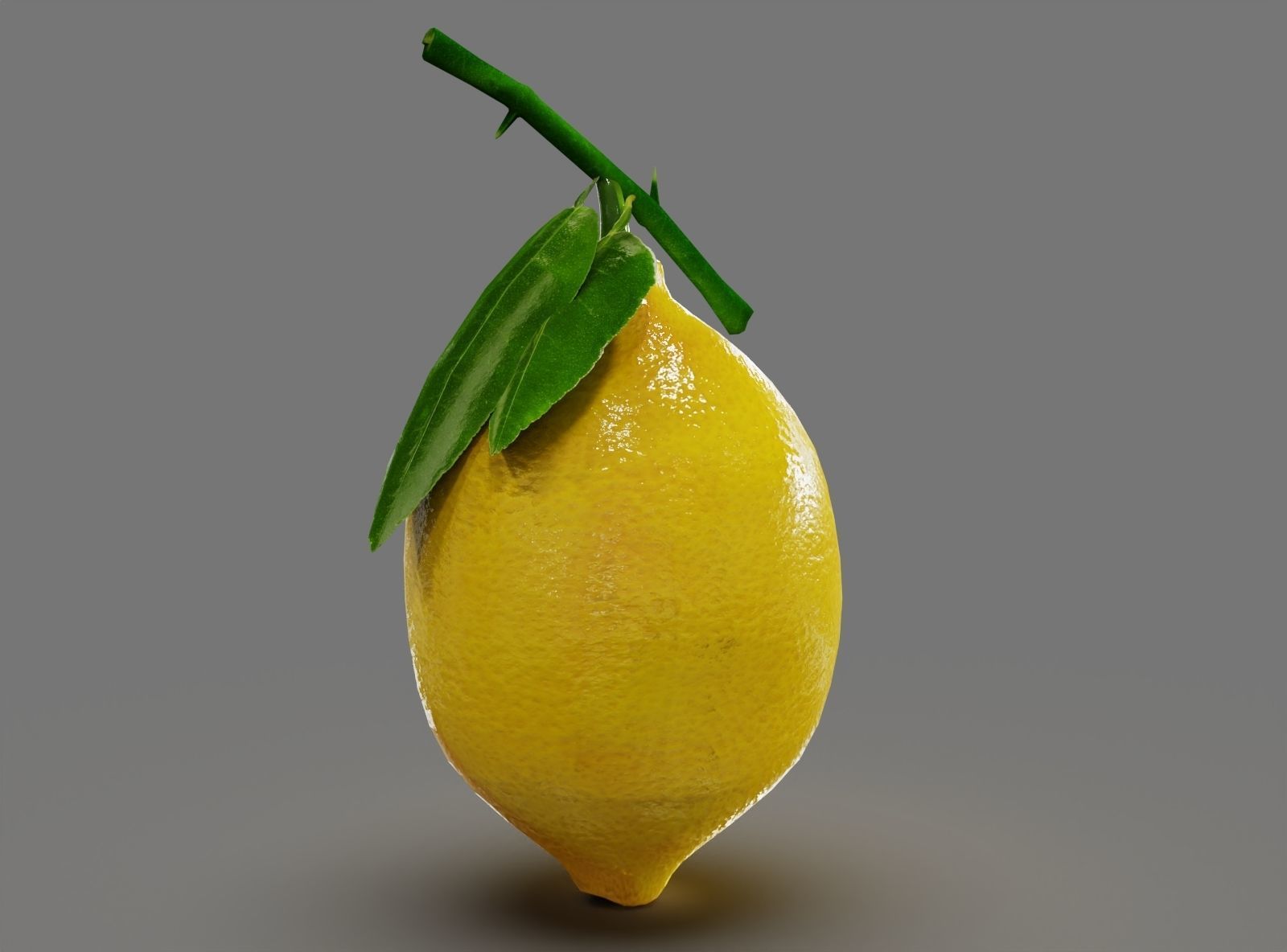 Fruits Lemon  Low-poly 3D model_4