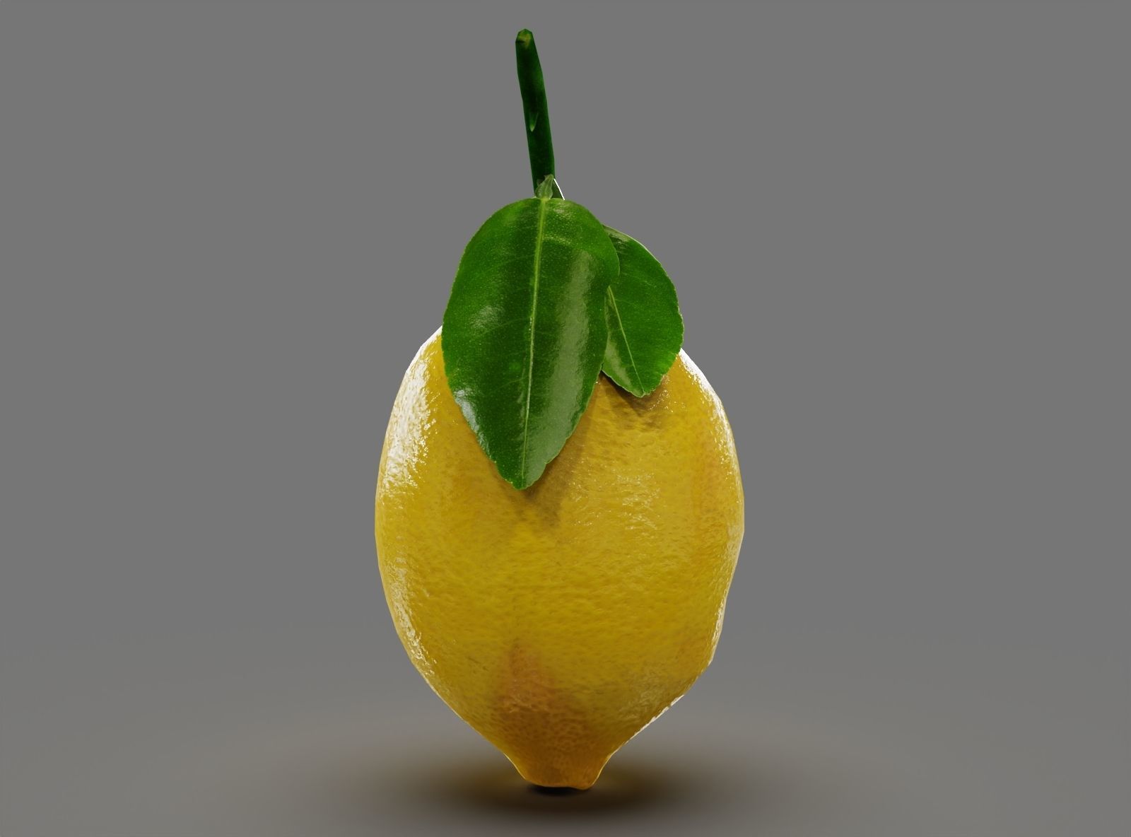 Fruits Lemon  Low-poly 3D model_5