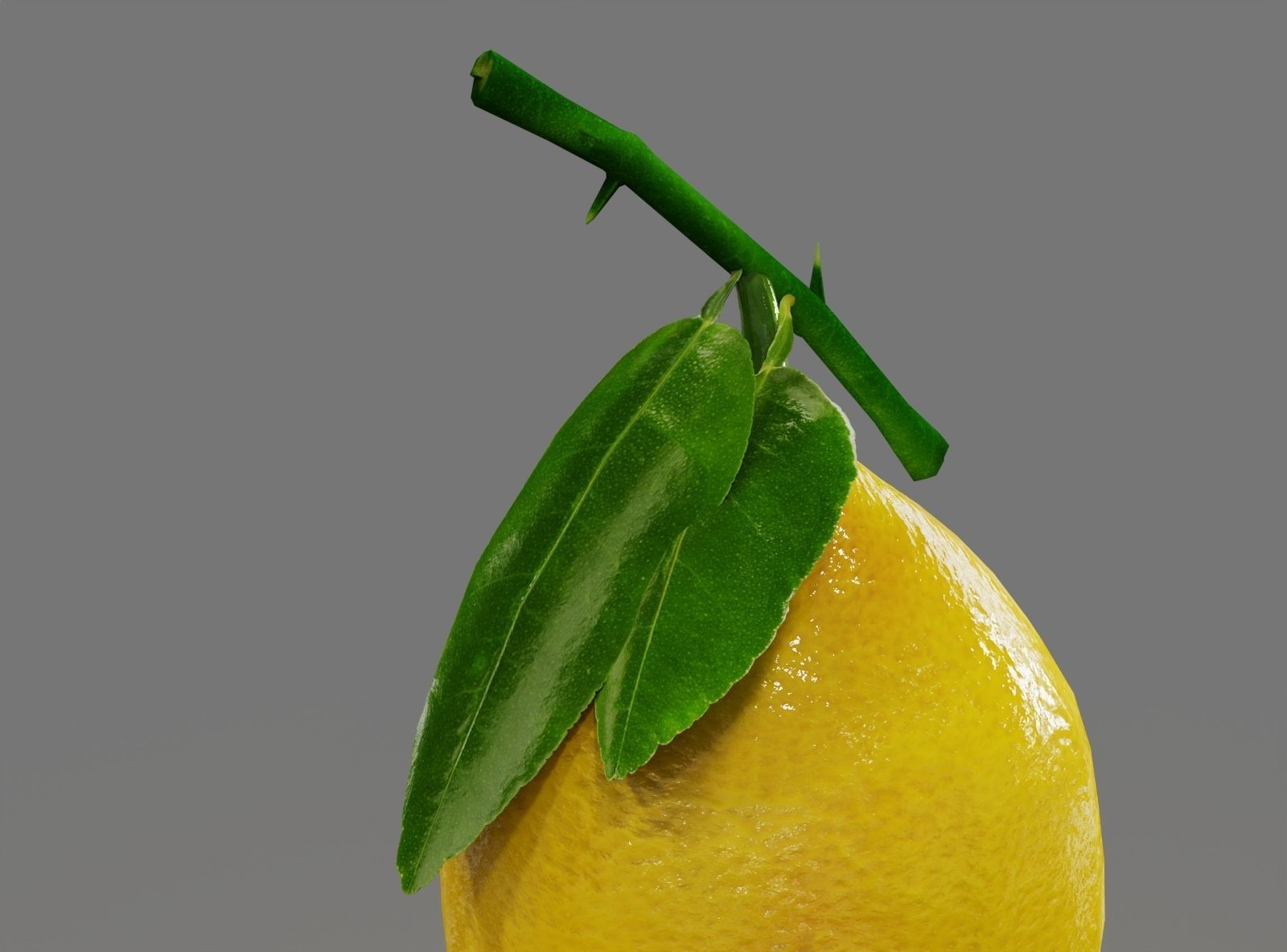 Fruits Lemon  Low-poly 3D model_3