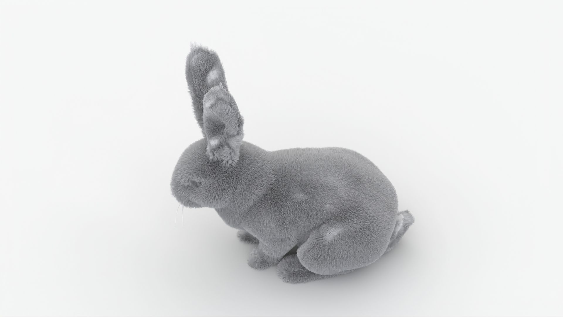 Dirty Rigged Rabbit with XGEN fur for MAYA Arnold Low-poly 3D model_3